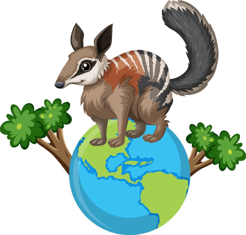 Numbat standing on globe vector