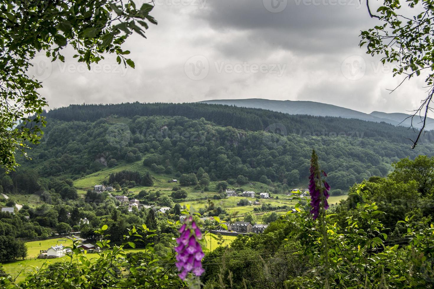 Summer Landscape Hills and Horizon photo