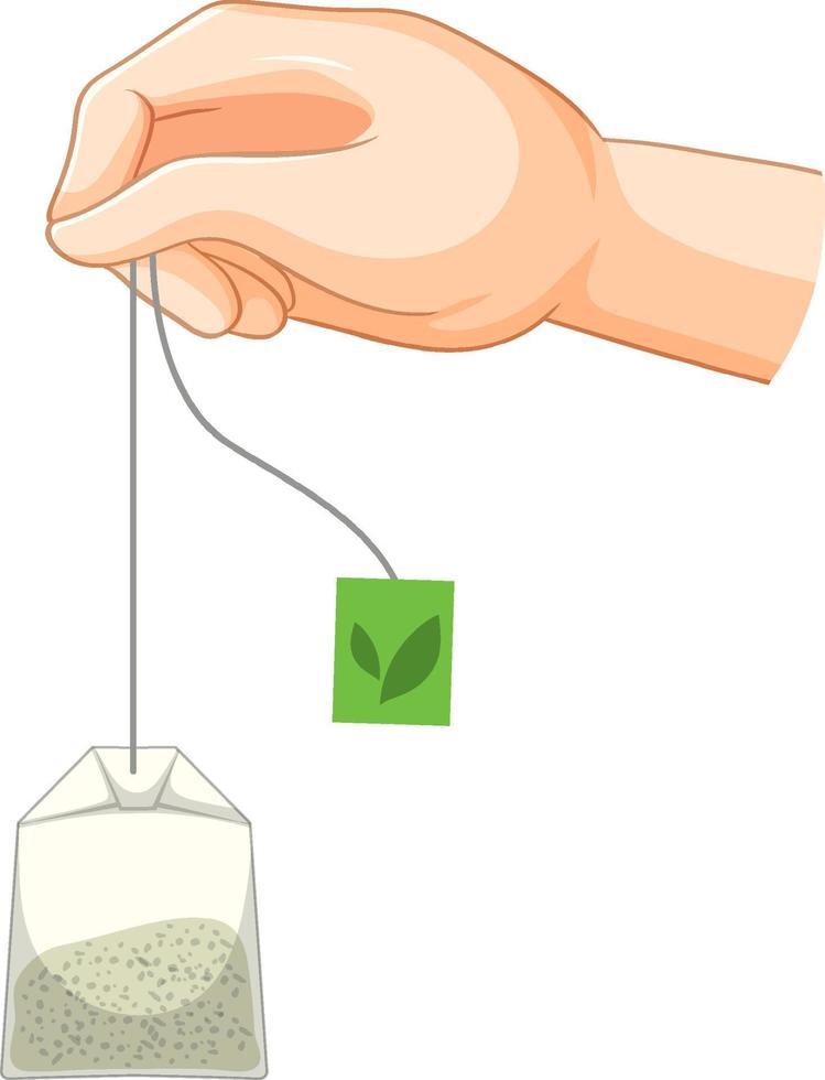 Hand holding tea bag isolated vector