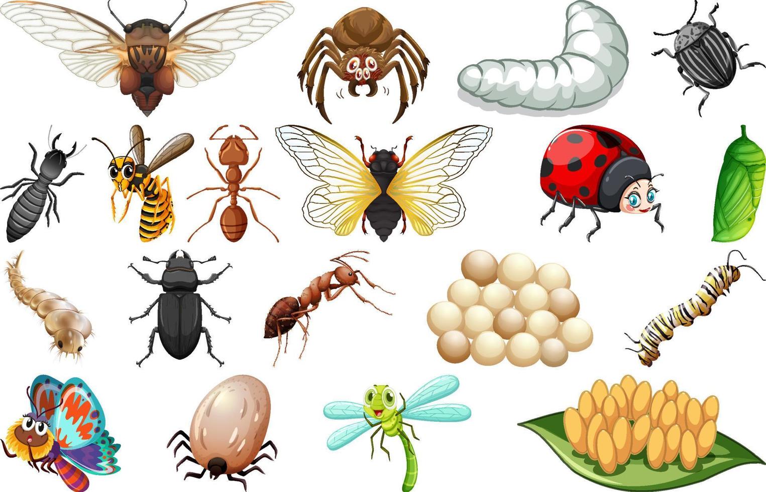 Different kinds of insects collection vector