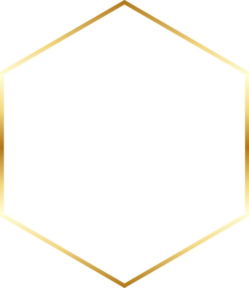 Hexagonal Gold Border Frame Vector