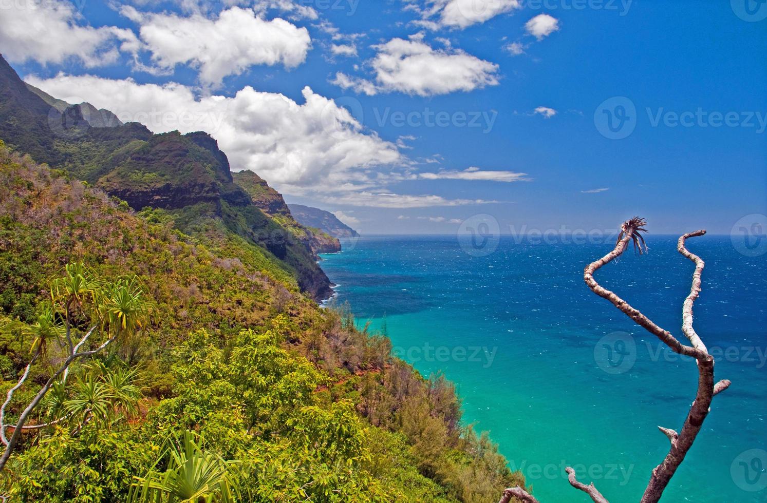 Tropical coast in Hawaii photo