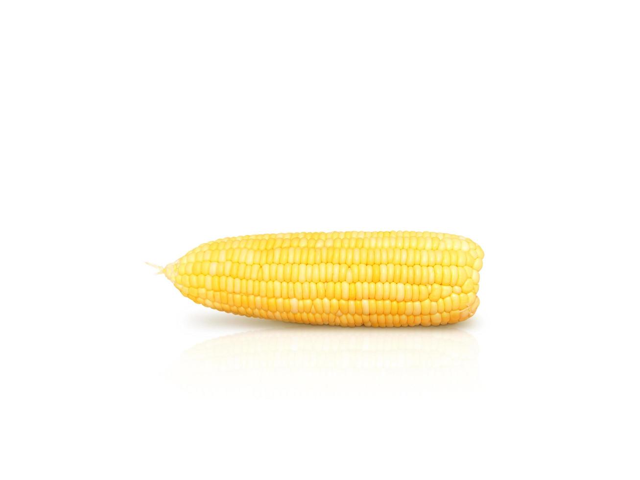 fresh sweet corn isolated on white background photo