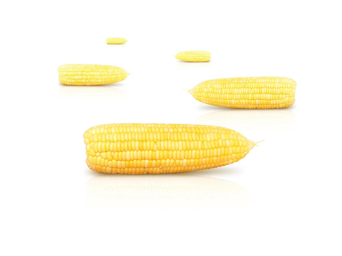 fresh sweet corn isolated on white background photo