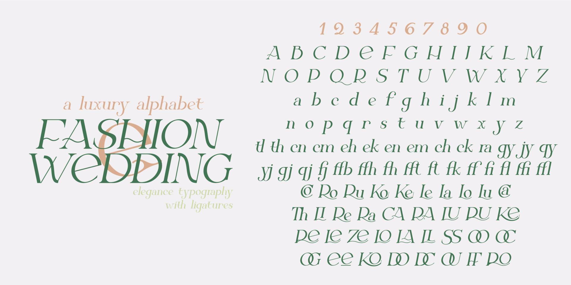 Modern serif elegance font. vector