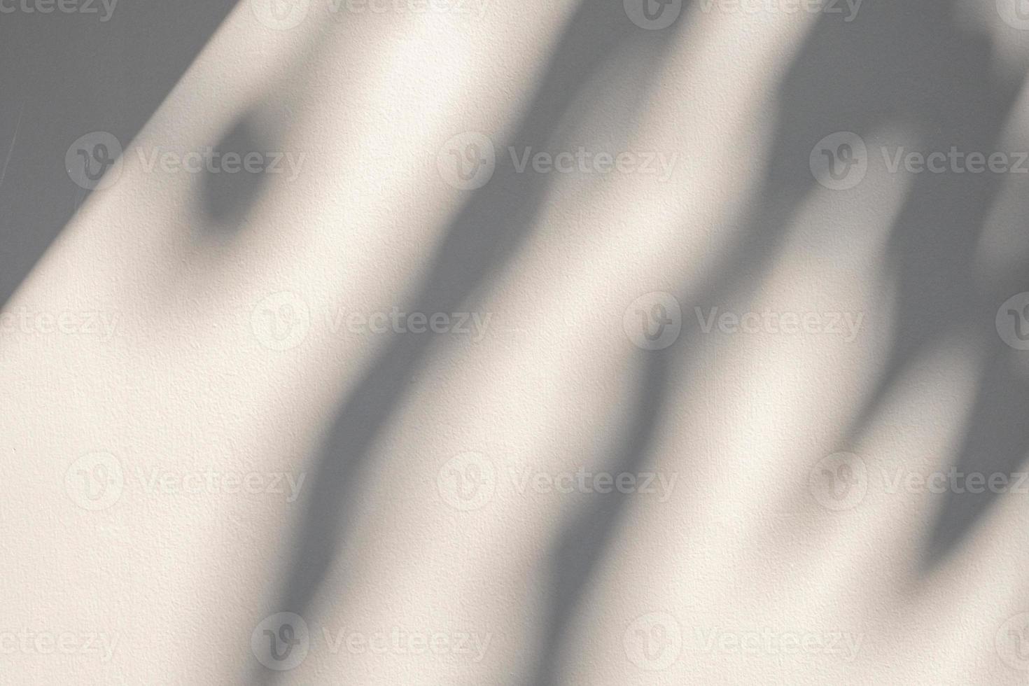 Abstract natural tree leaves shadow on white wall background photo