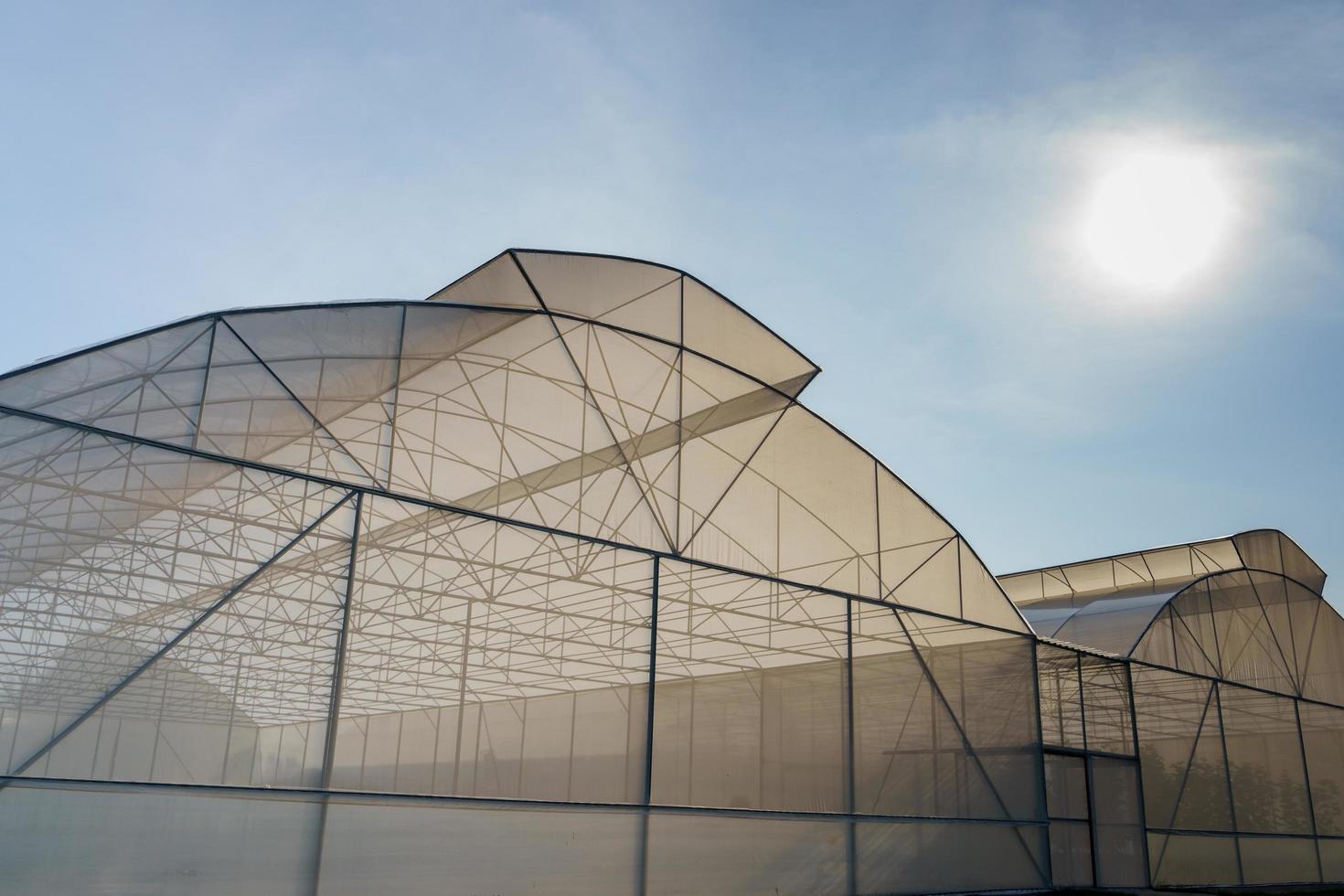 A large greenhouse for growing organic vegetables is located on the green grass outdoors. Can prevent insects from entering and destroying the planted area.organic vegetable concept. photo