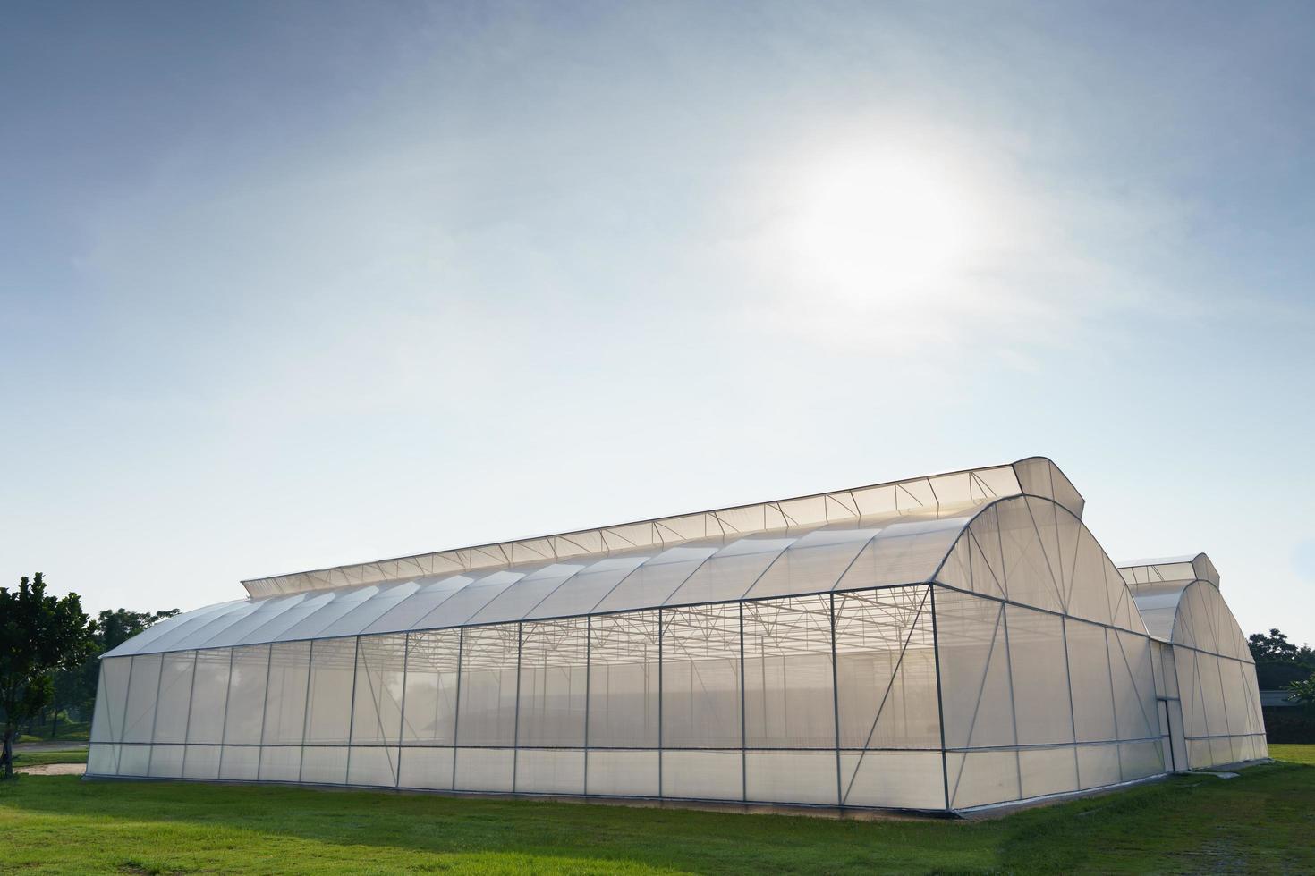A large greenhouse for growing organic vegetables is located on the green grass outdoors. Can prevent insects from entering and destroying the planted area.organic vegetable concept. photo