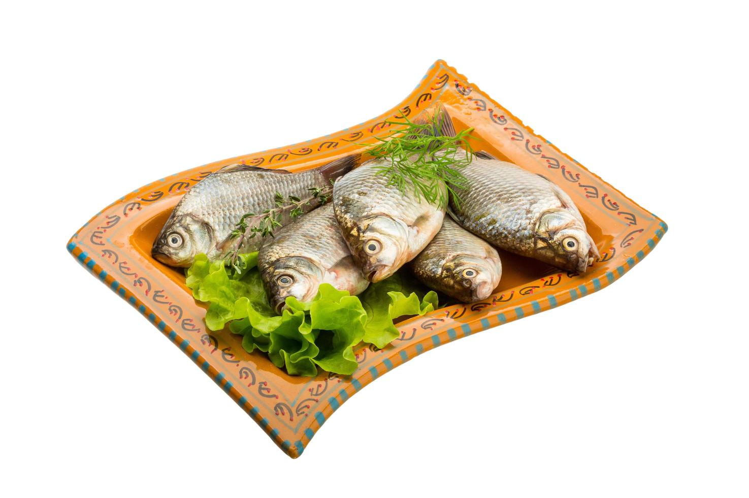 Crucian fish on the plate and white background photo