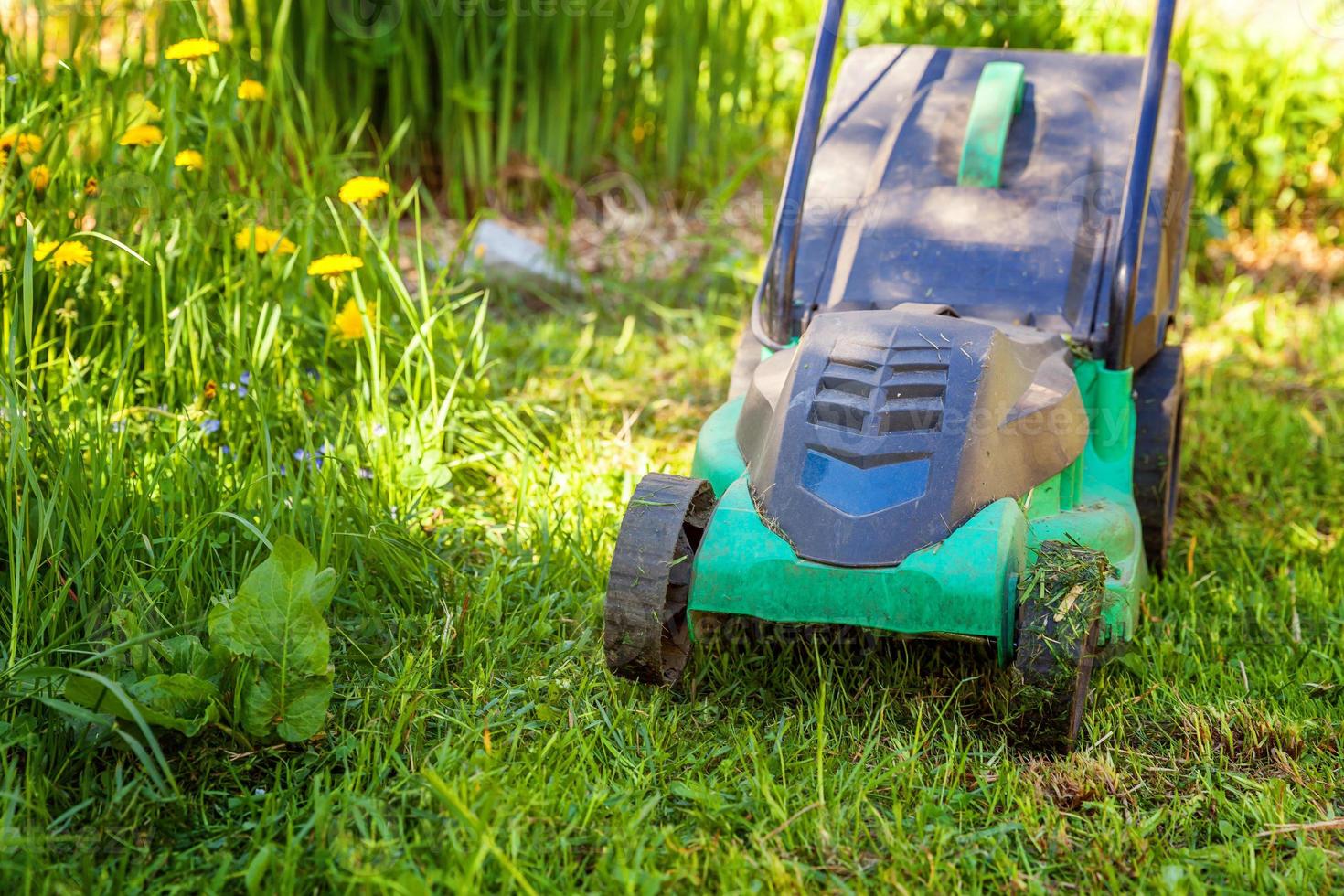 Lawn mower cutting green grass in backyard in sunny day. Gardening country lifestyle background. Beautiful view on fresh green grass lawn in sunlight, garden landscape in spring or summer season. photo