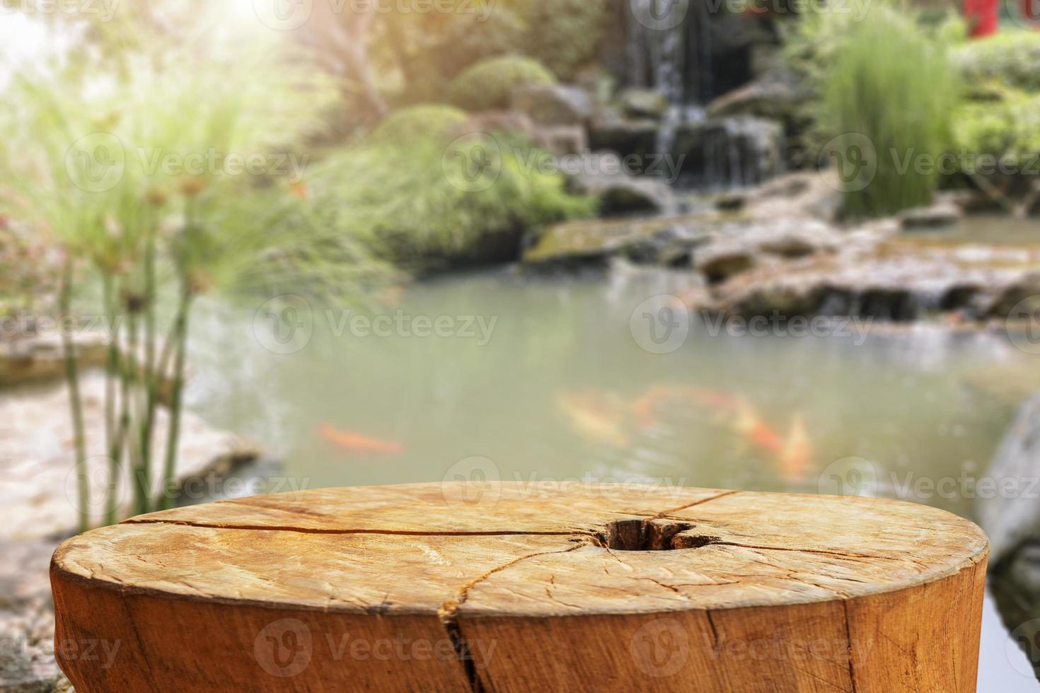 tree stump top with garden blurred background photo