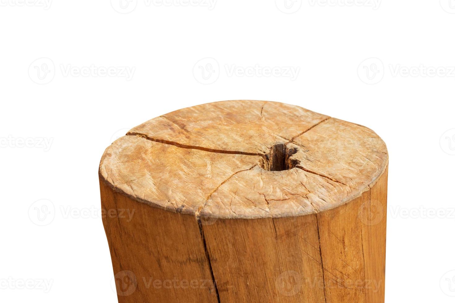 tree stump isolated on white background photo