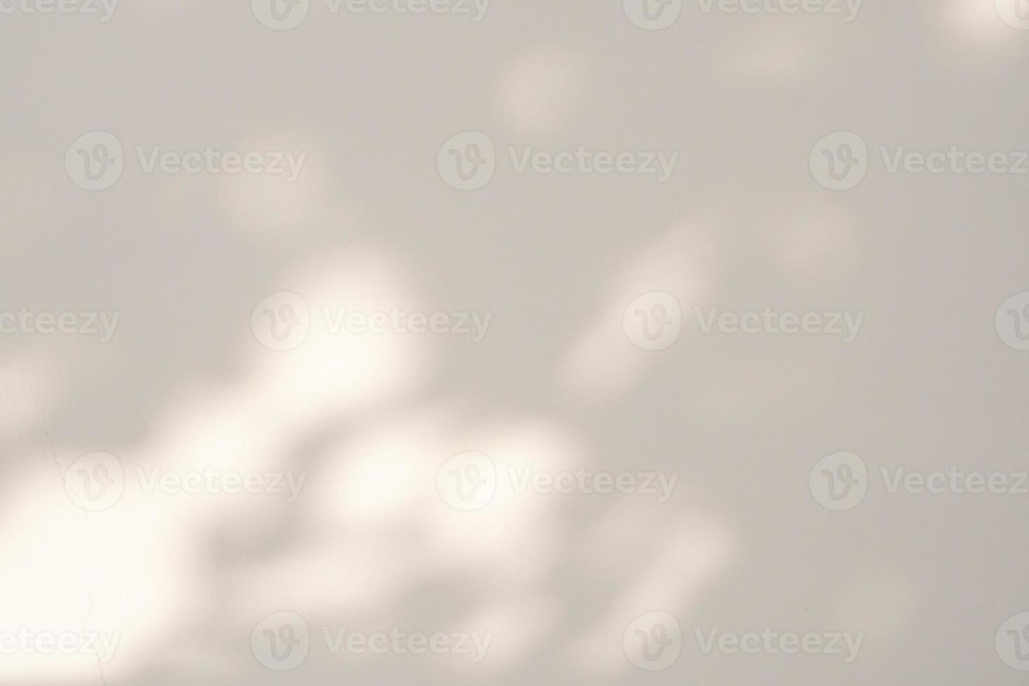 Abstract natural tree leaves shadow on white wall background photo