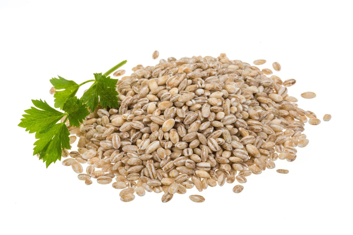 Pearl Barley on white photo