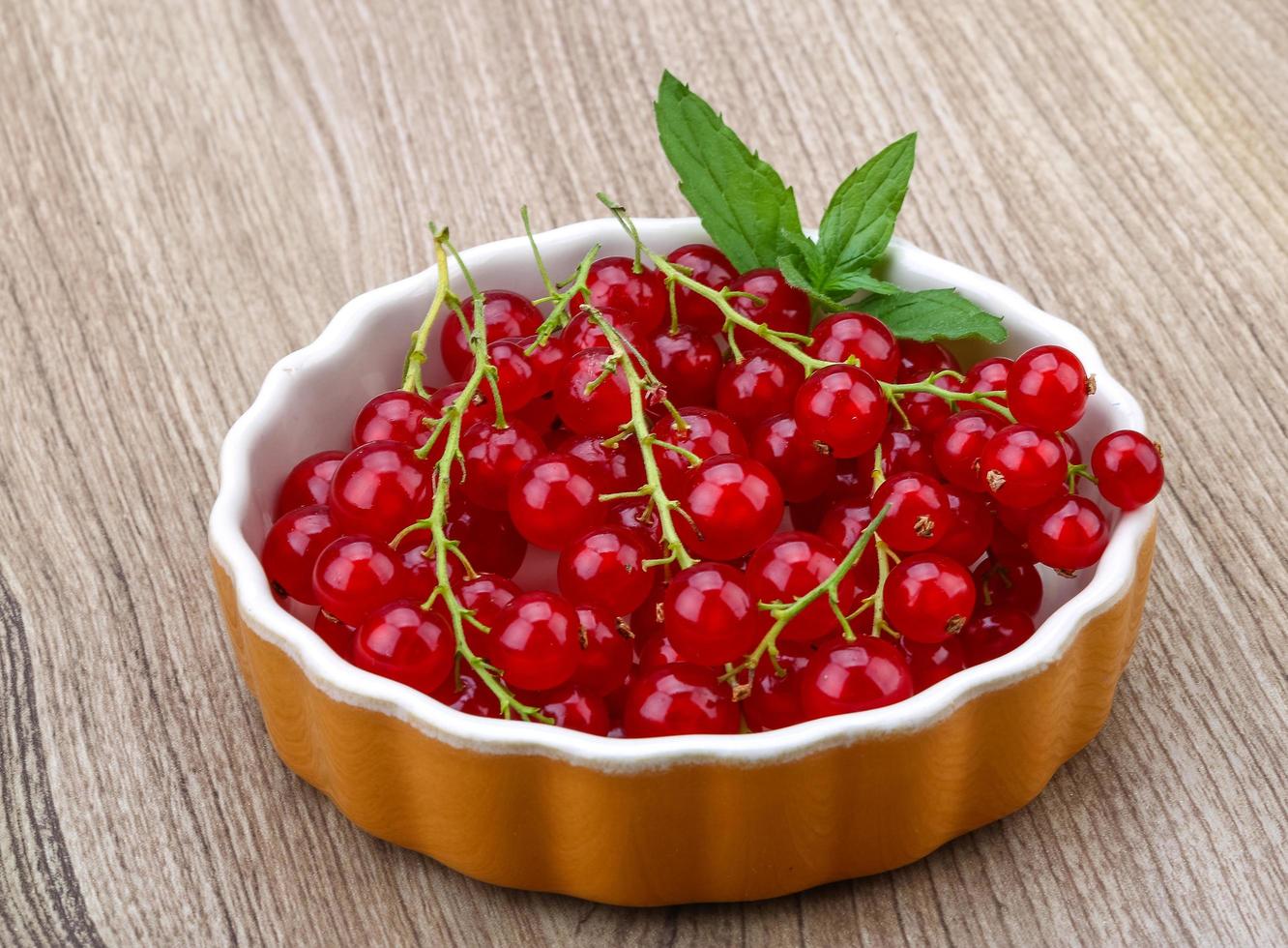 Red currants view photo