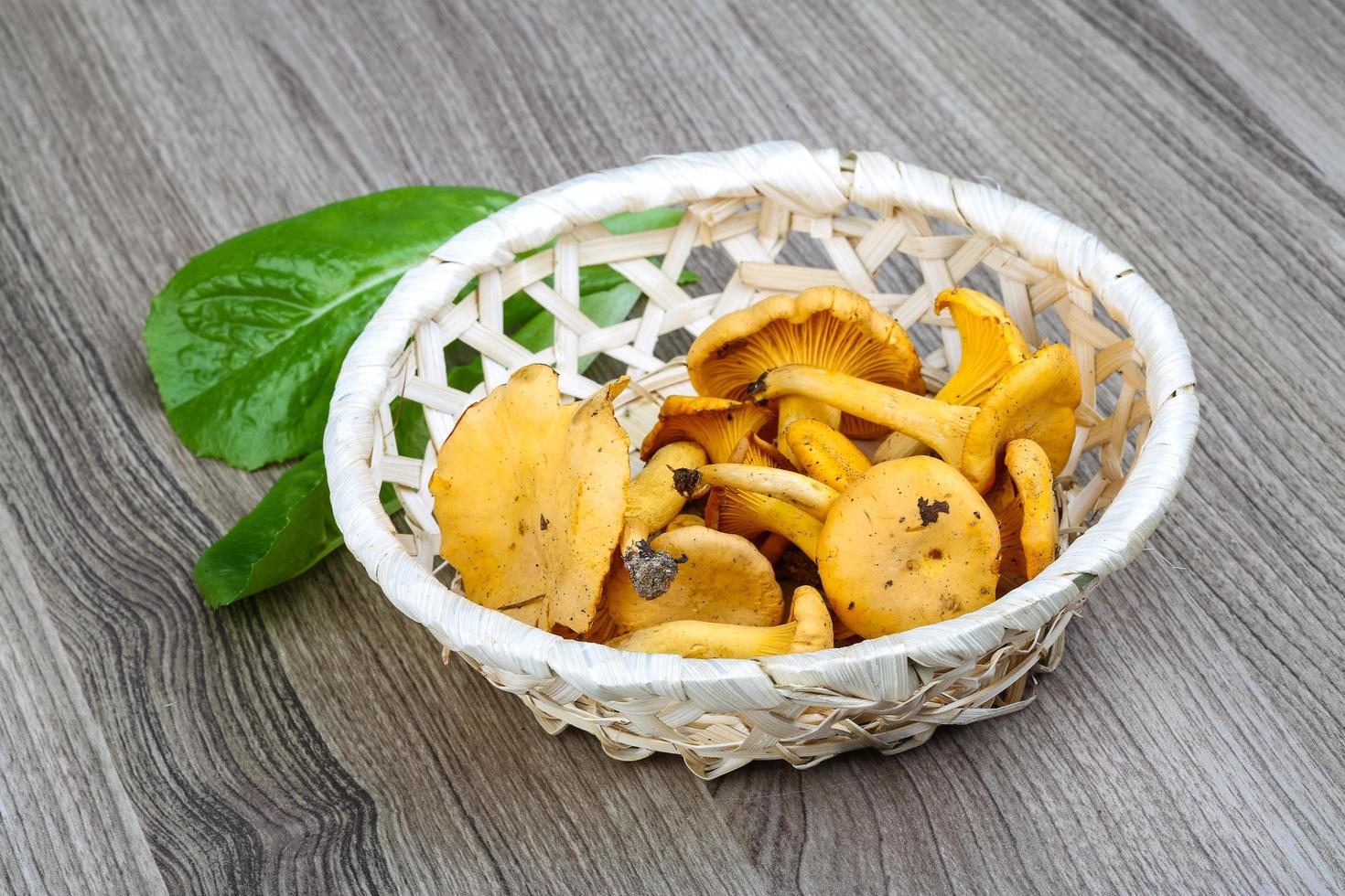 Chanterelle in a basket on wooden background photo