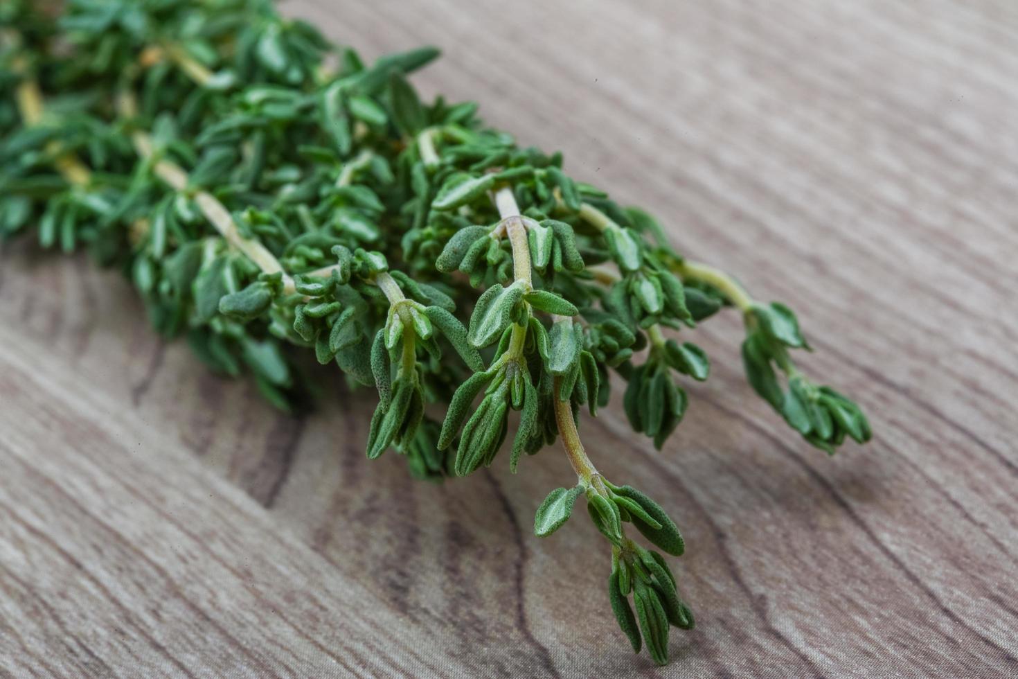 Thyme branch on wooden background photo