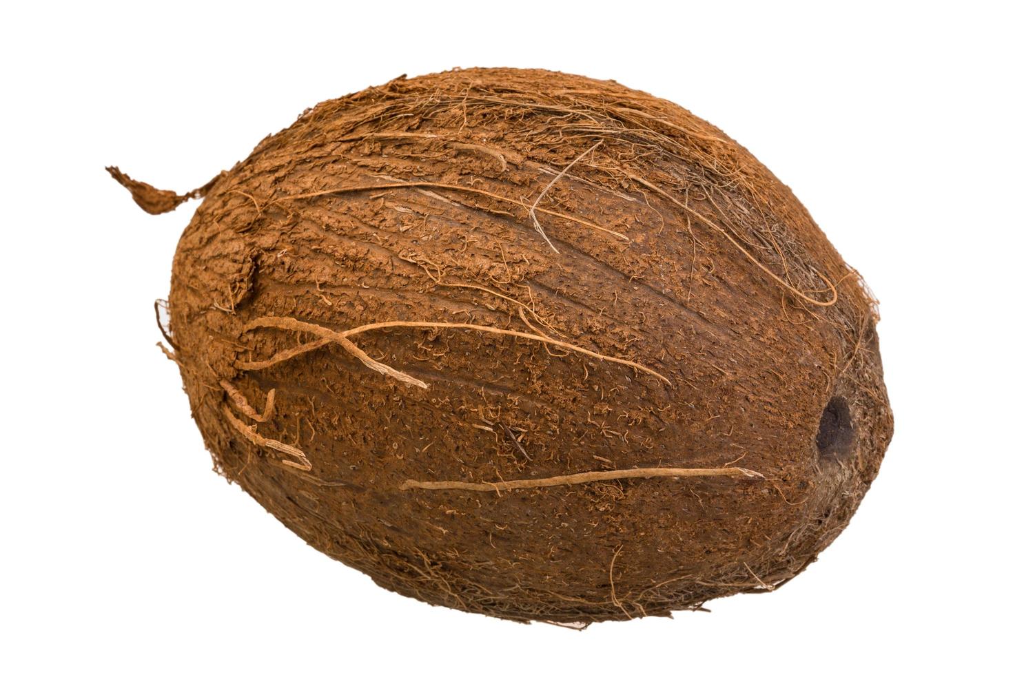 Coconut on white photo