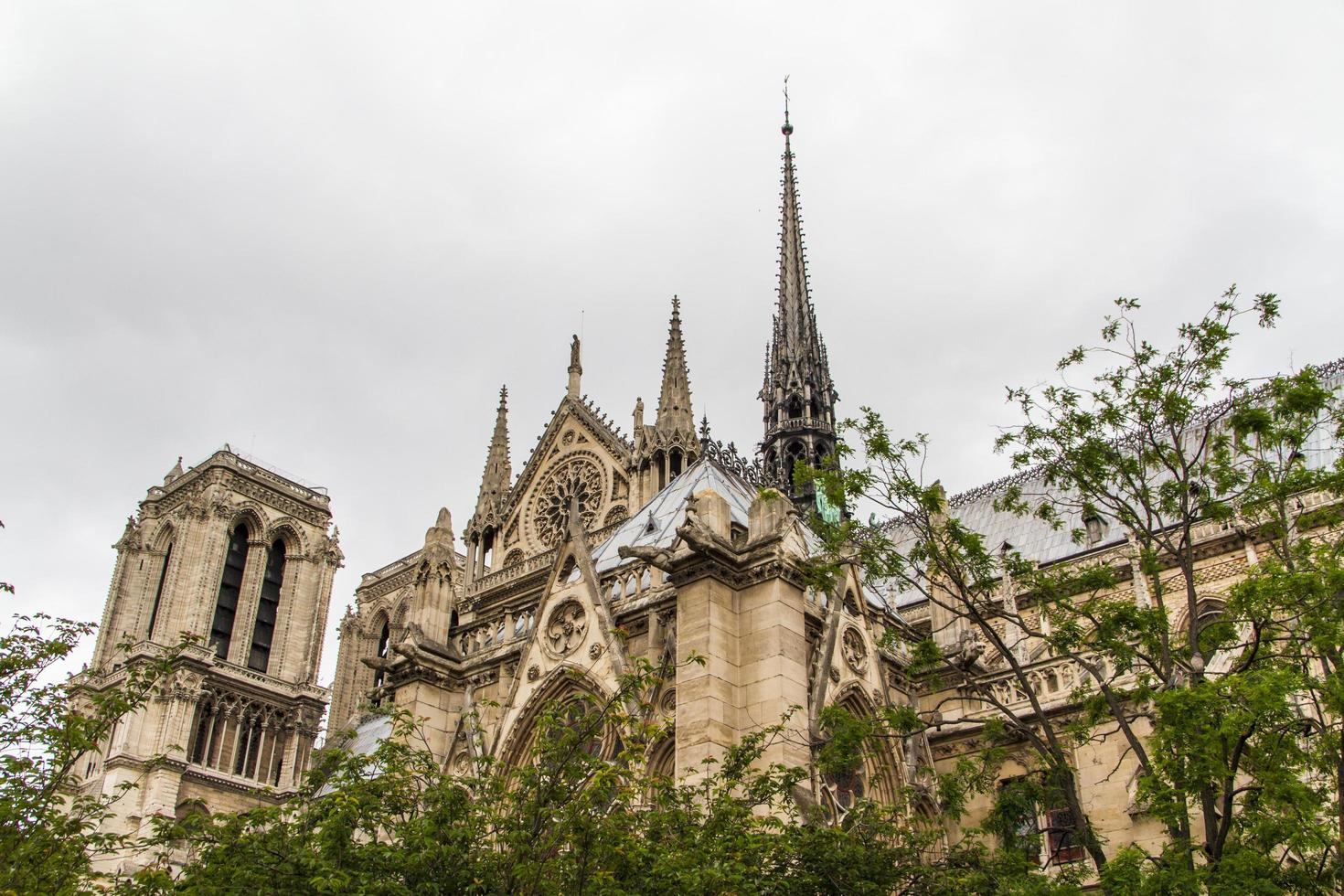 Notre Dame Paris photo
