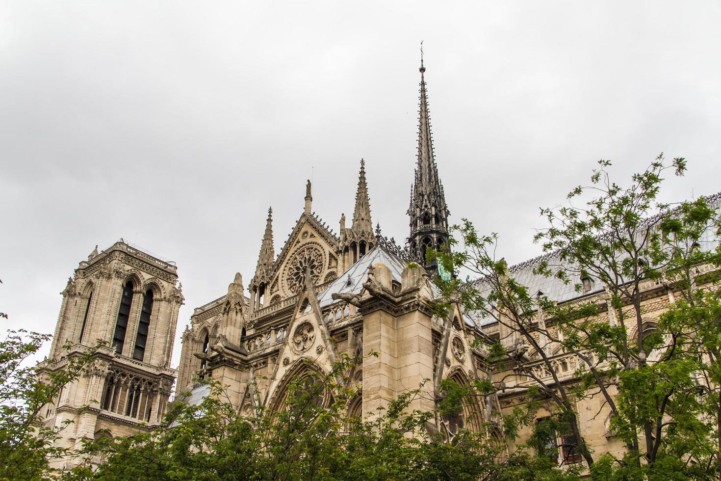 Notre Dame París foto