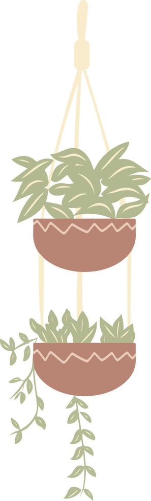 Aesthetic Hanging Plant in Pot Room Decoration Illustration vector