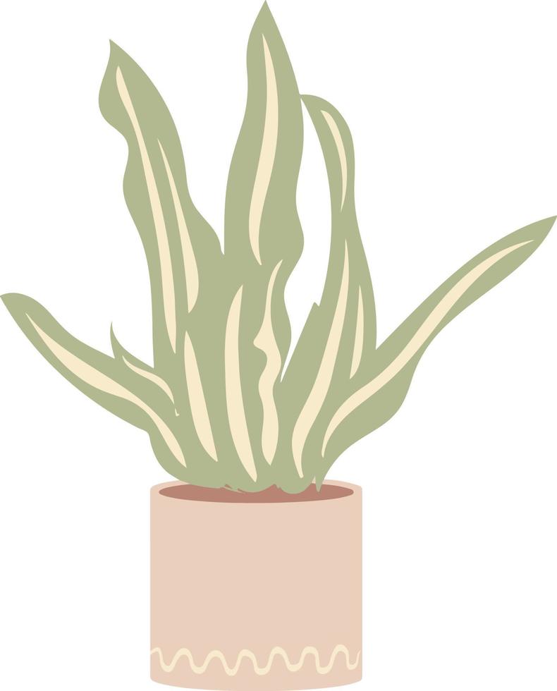 Aesthetic Indoor Plant Sansevieria Room Decoration Illustration vector