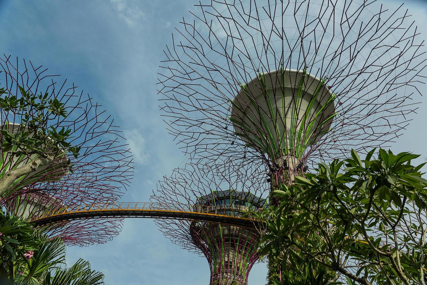 singapur, 12 de mayo de 2022 - jardines junto a la bahía el 12 de marzo de 2014 en singapur. Gardens by the Bay fue coronado edificio mundial del año en el World Architecture Festival 2012 foto