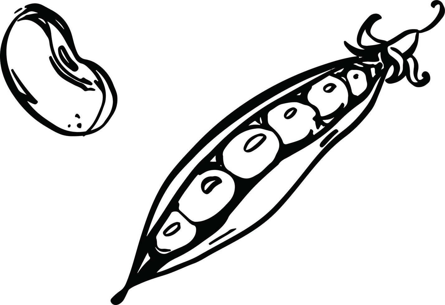 Soy or soya beans icon isolated on white background. Vector illustration. Eps 10. Vector illustration
