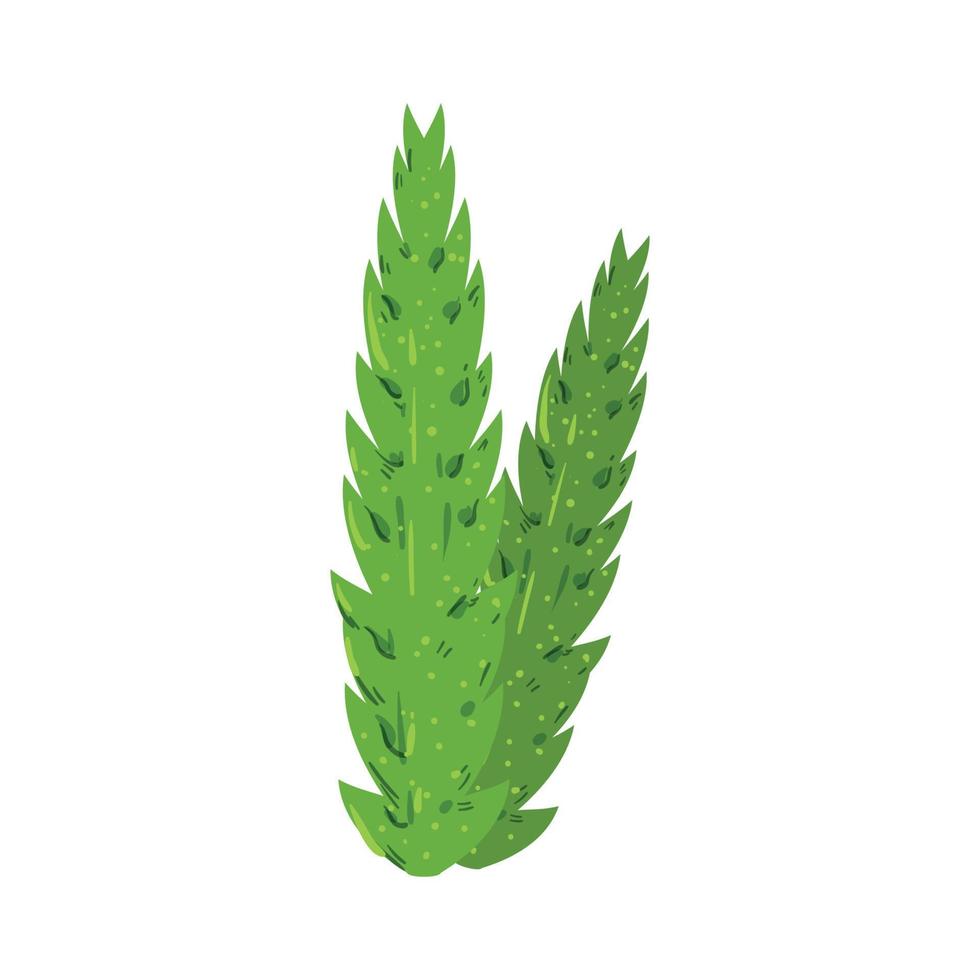 Vector illustration of Algae