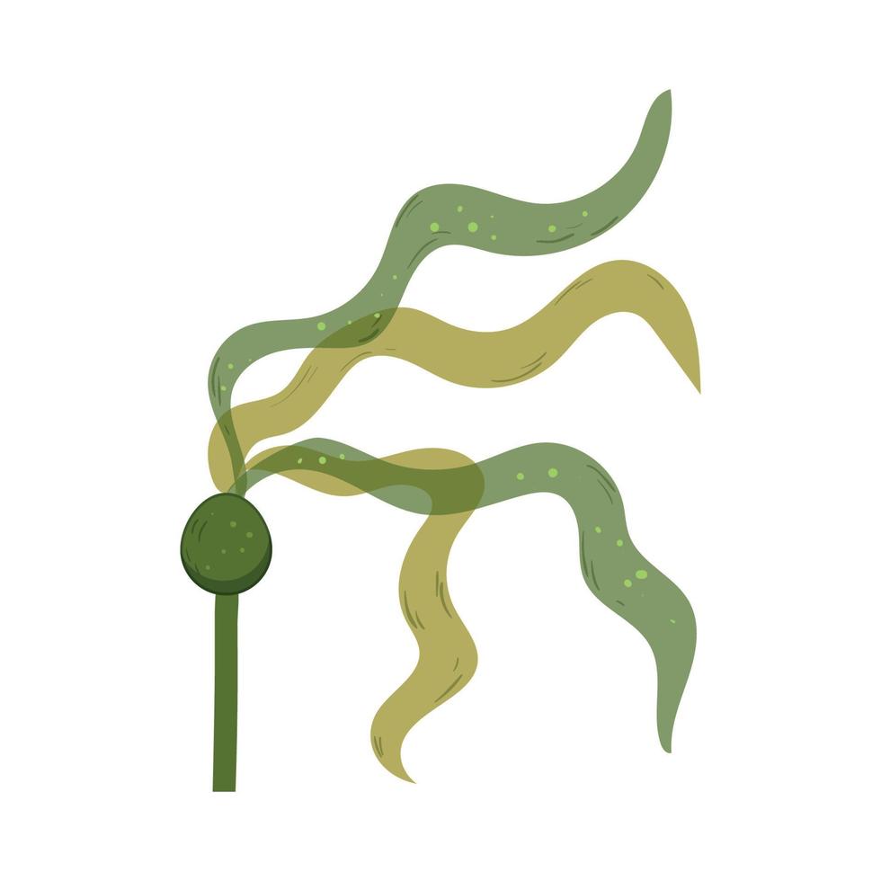 Vector illustration of Algae