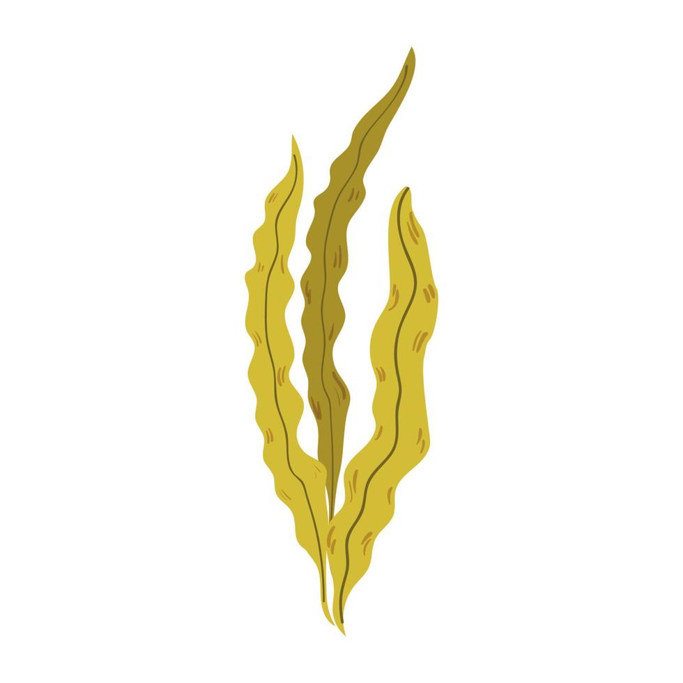 Vector illustration of Algae