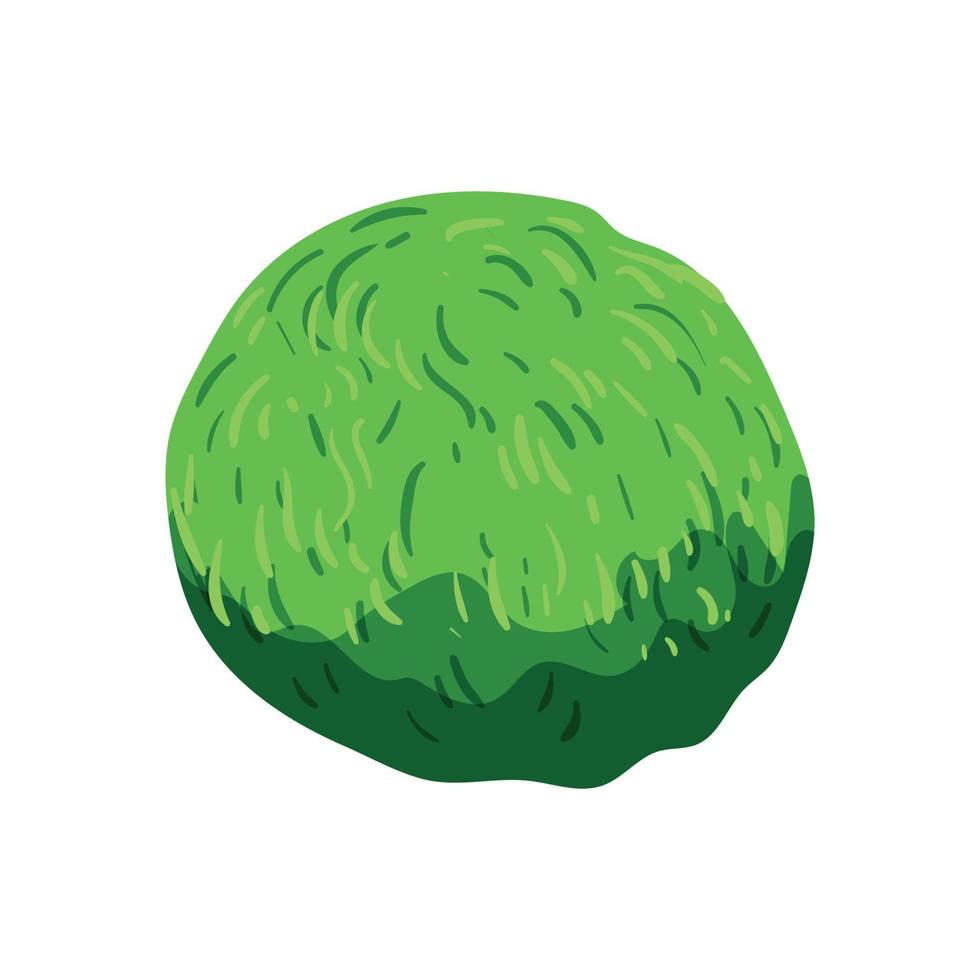 Vector illustration of Algae