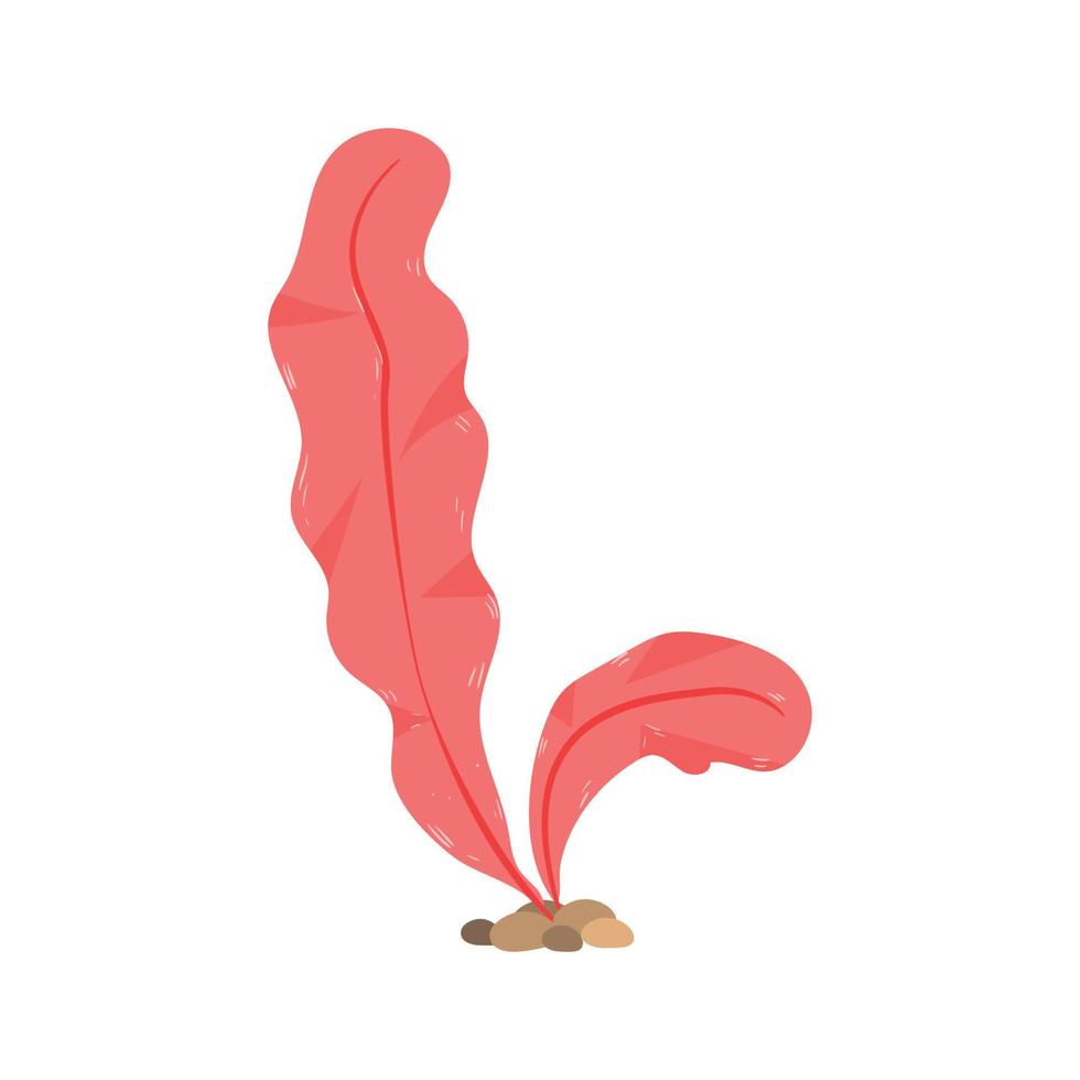 Vector illustration of Algae