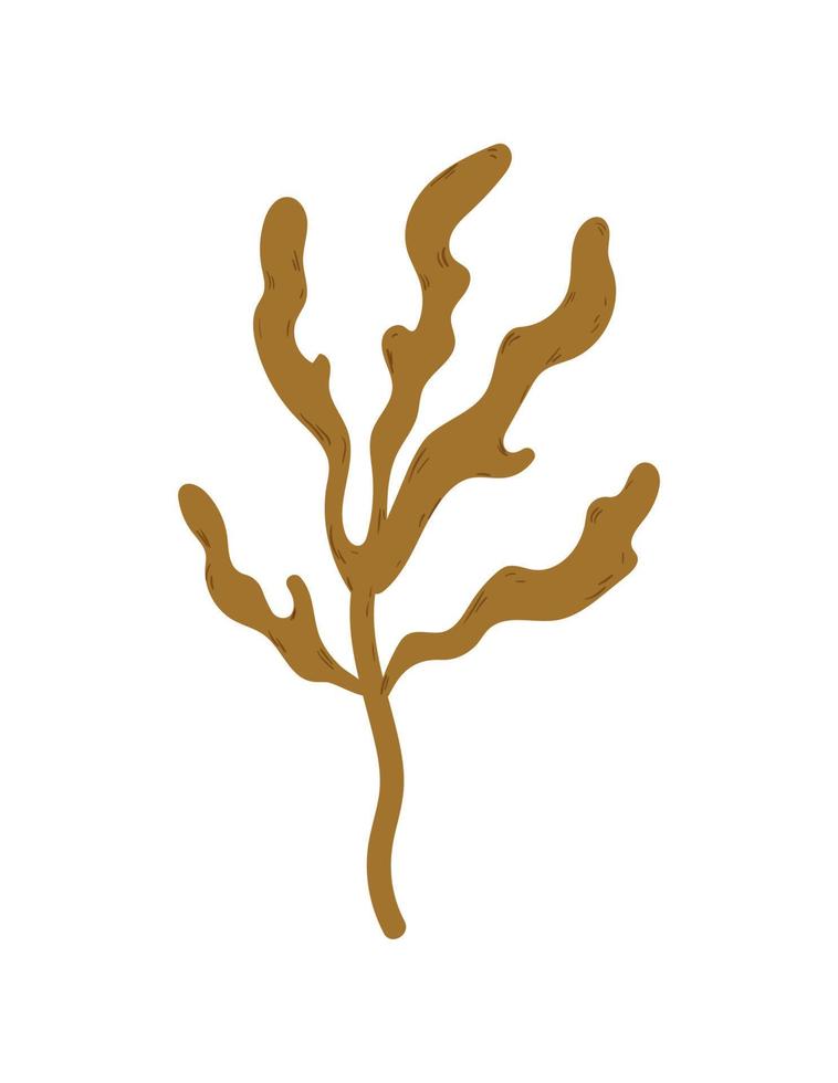 Vector illustration of Algae