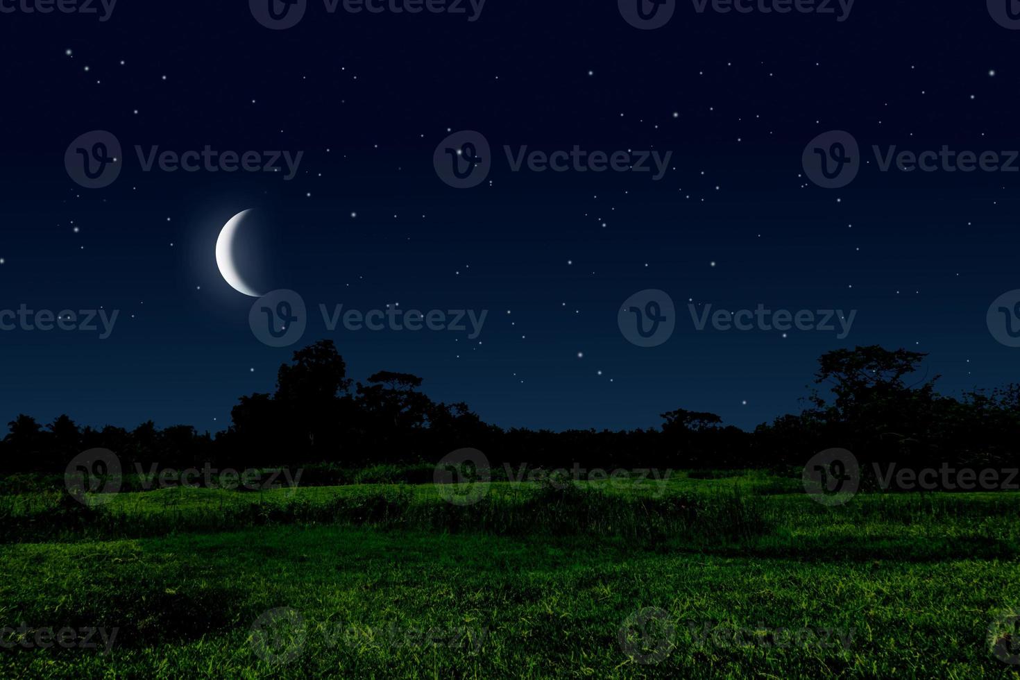 hermosa noche en pradera con luna creciente y estrellas. foto