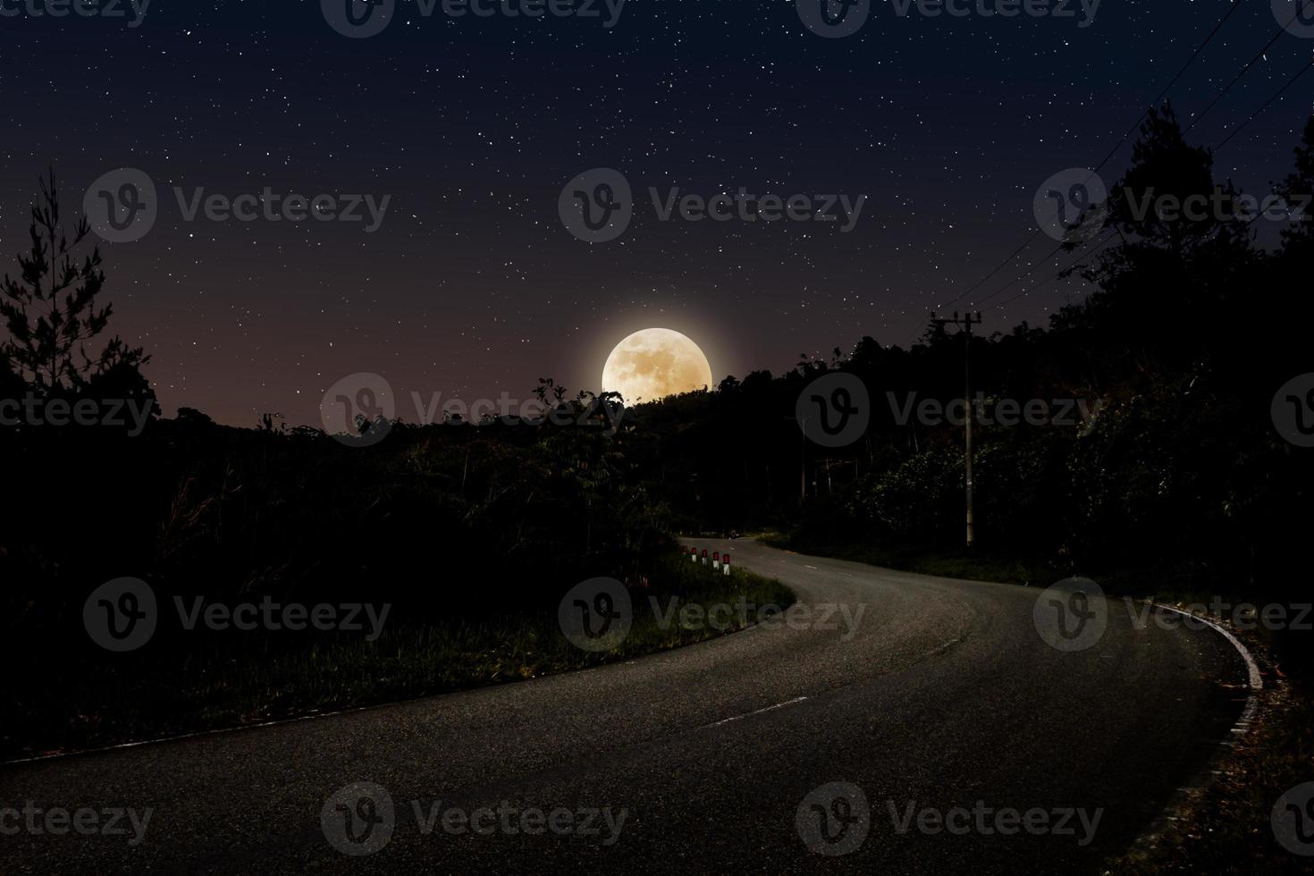 Night landscape with empty highway in forest photo