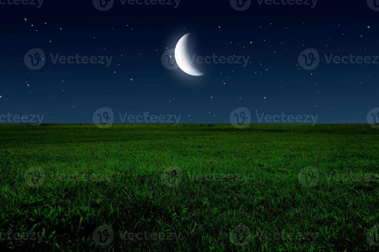 Night in meadow with half moon and stars photo