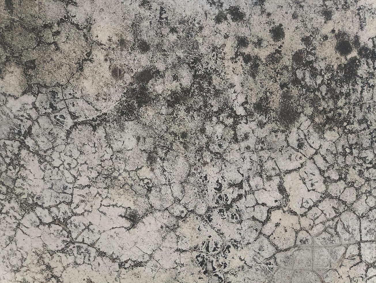 Cement wall grunge texture photo