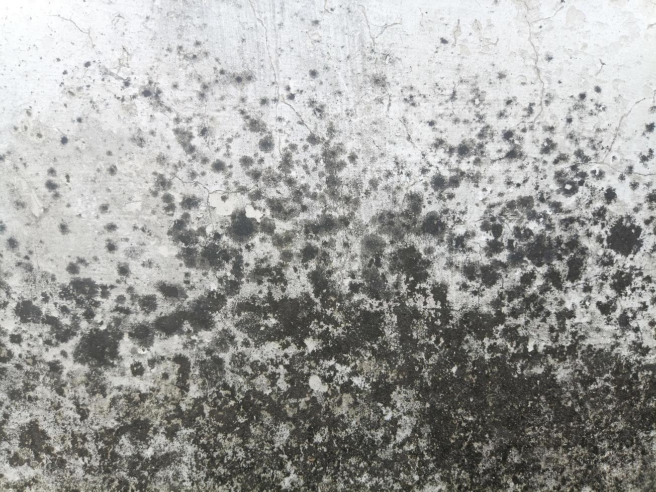 Cement wall grunge texture photo