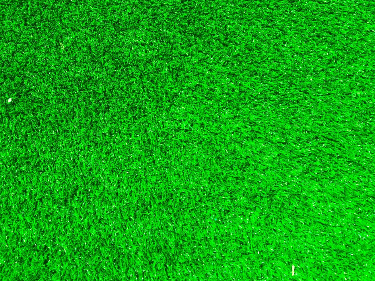 Green grass texture use as natural background. Wallpaper for design artwork photo