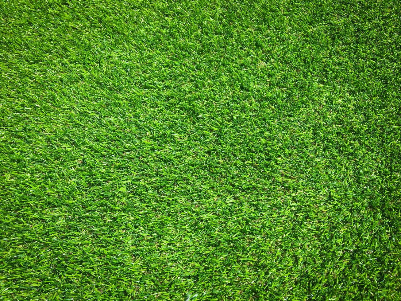 Green grass in the natural background for design photo