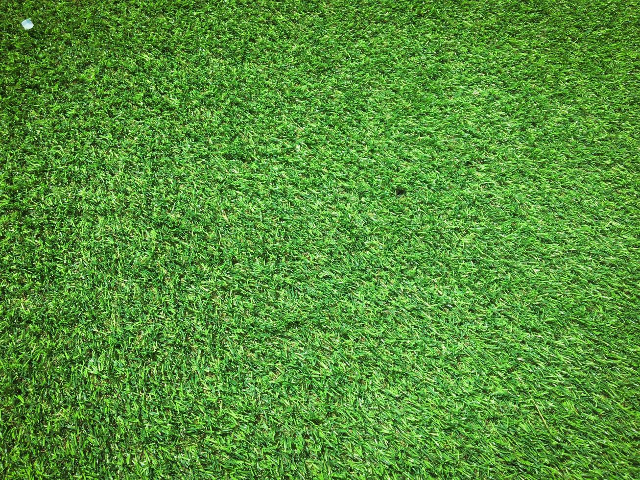 Green grass texture use as natural background. Wallpaper for design artwork photo