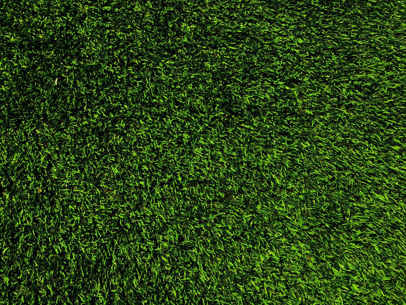 Green grass texture use as natural background. Wallpaper for design artwork photo