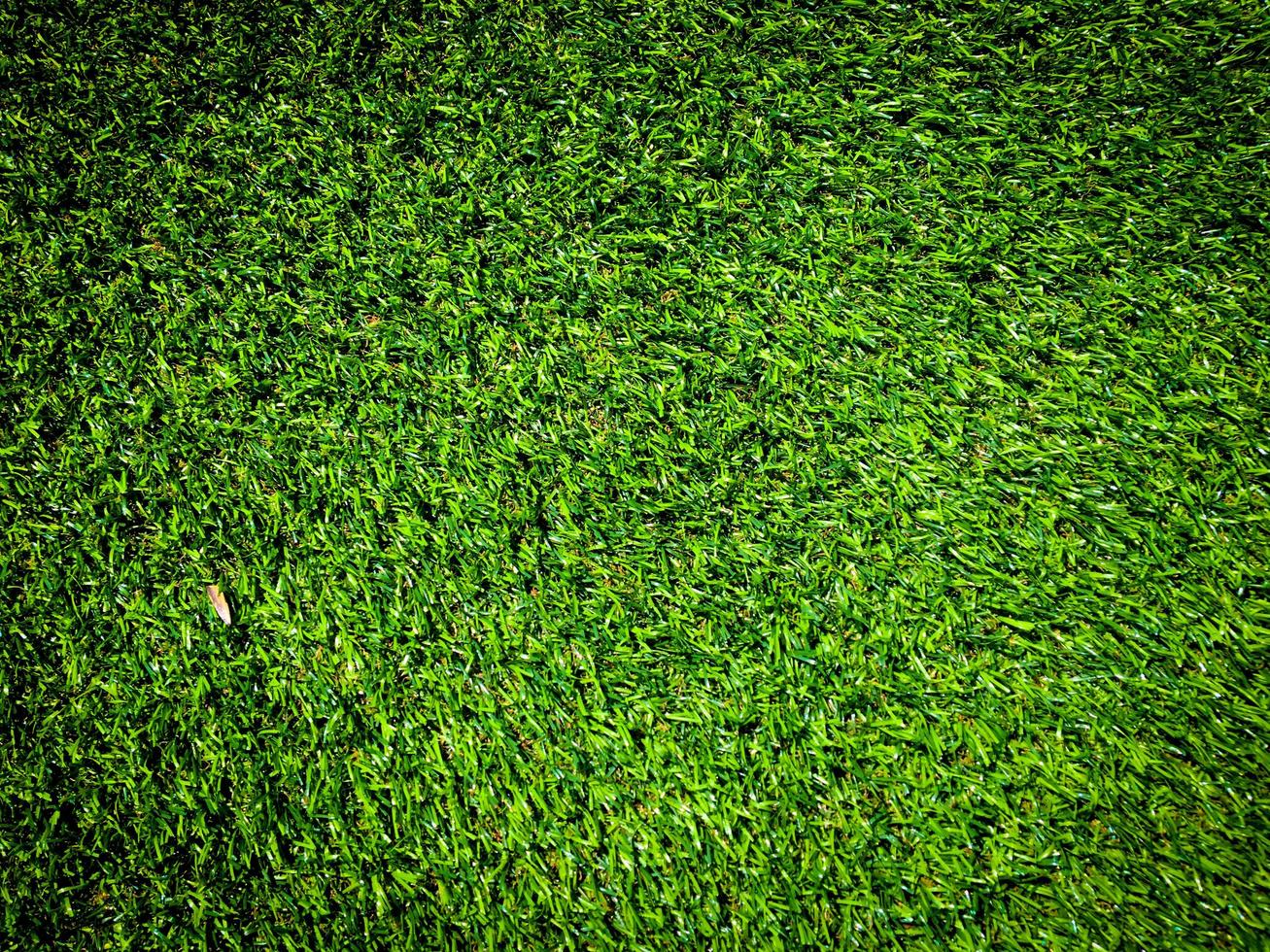 Green grass texture use as natural background. Wallpaper for design artwork photo