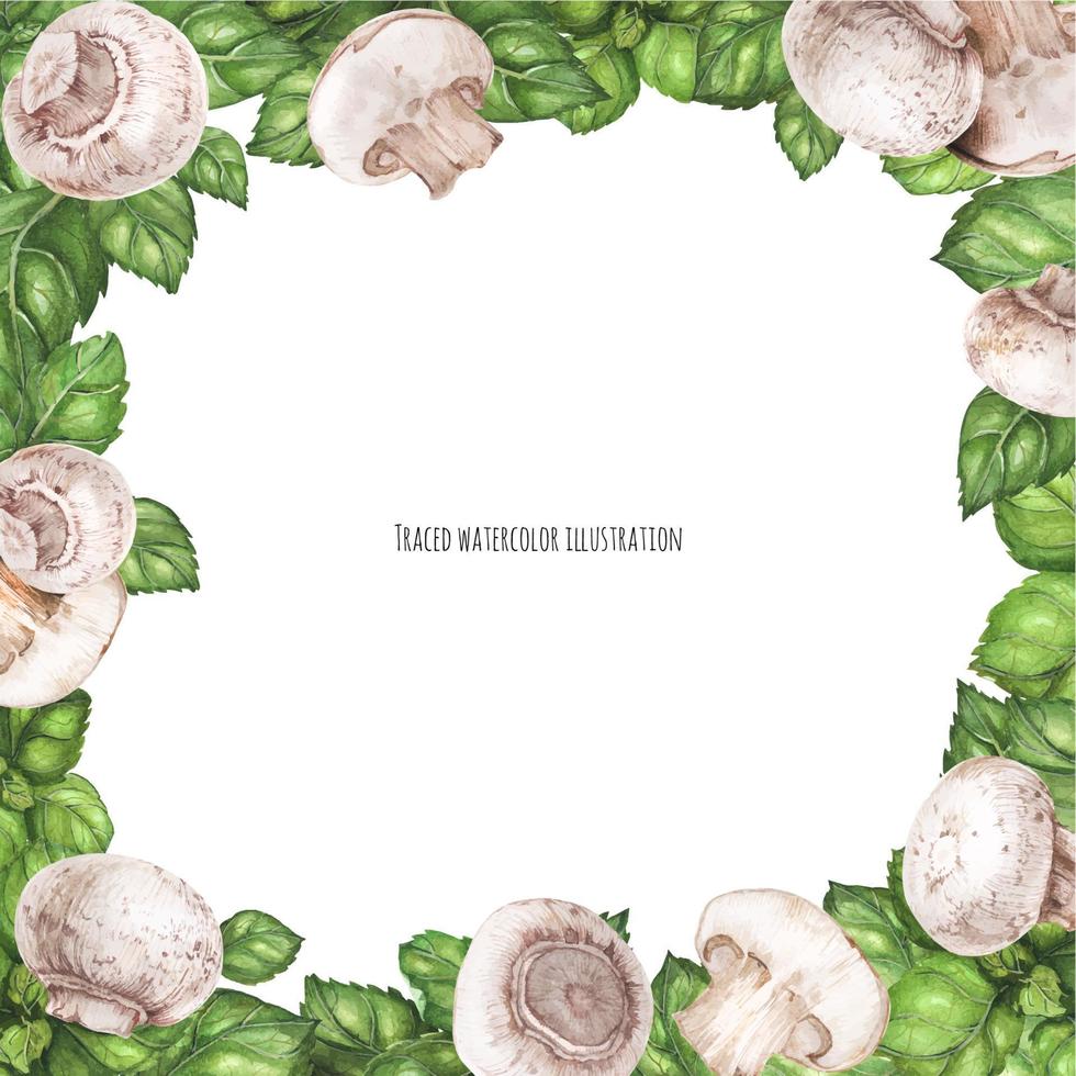 Basil and Champignons Square Frame vector
