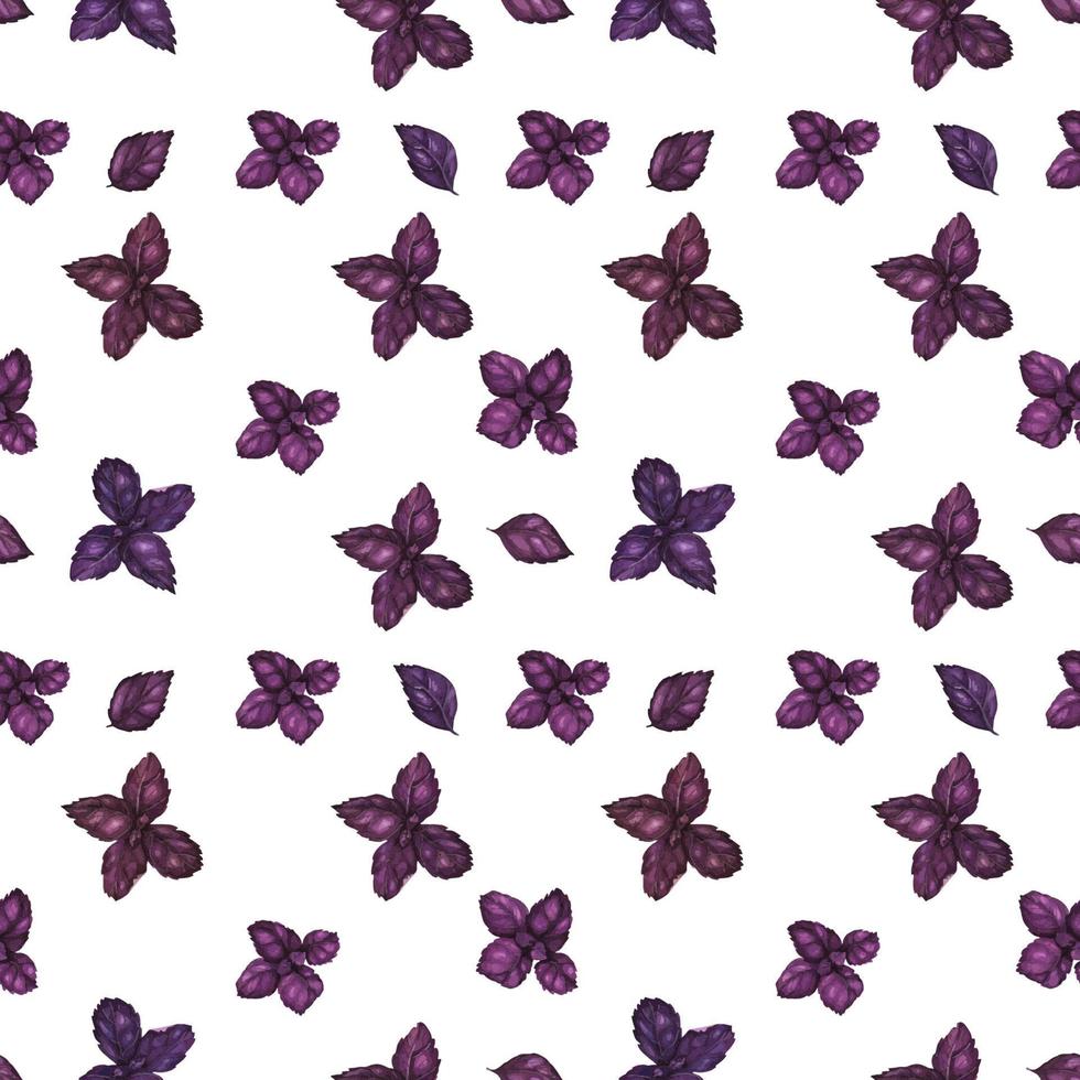 Traced watercolor seamless pattern with purple basil vector