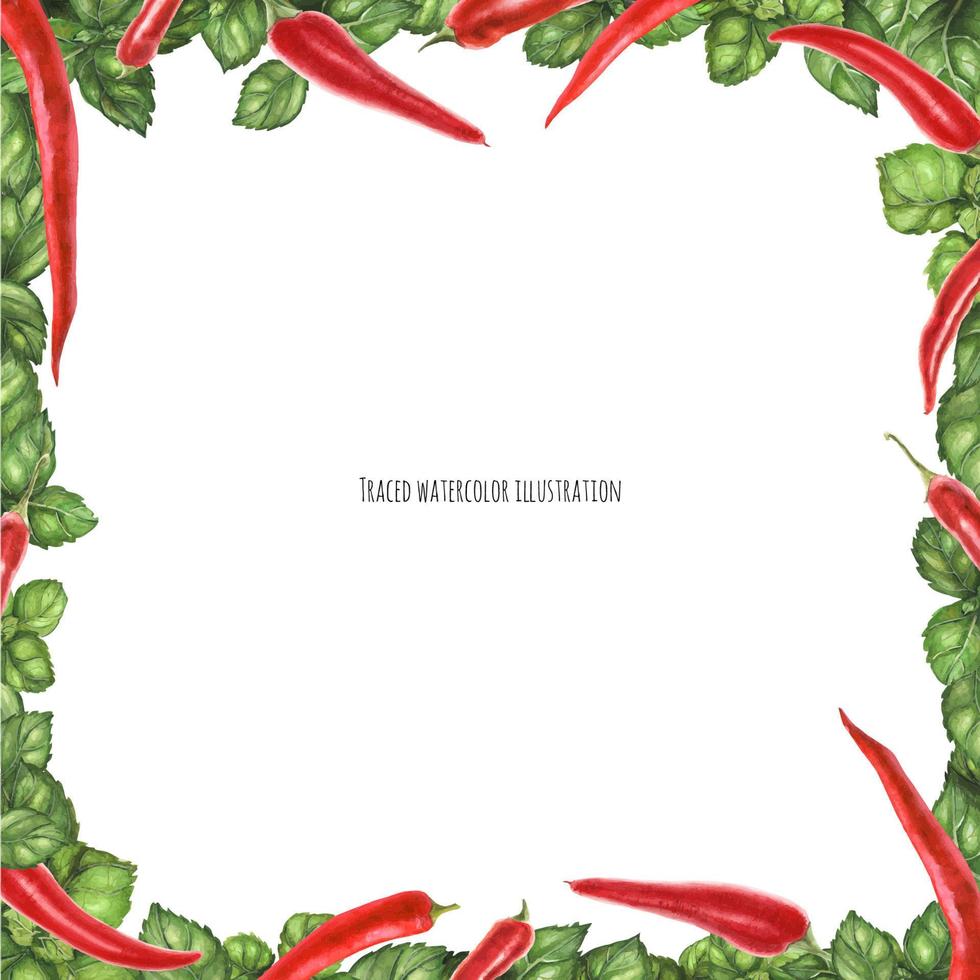 Green Basil and Chili Square Frame vector