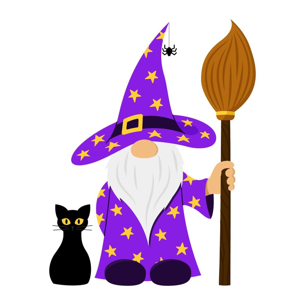 Vector cartoon gnome character with broom stick and black cat. Isolated Halloween gnome warlock with pet on white