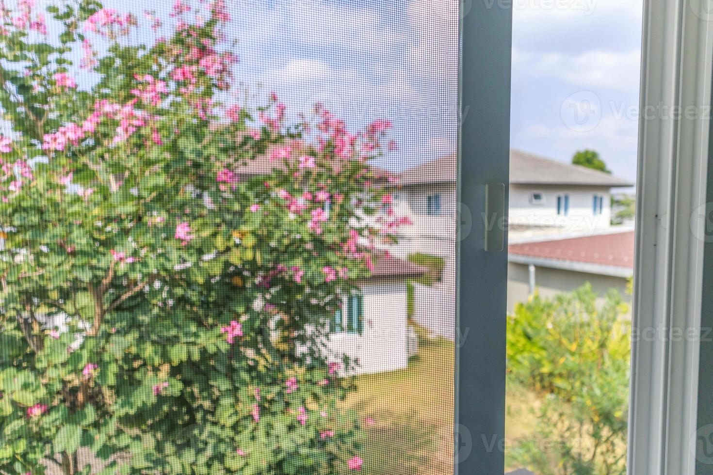 mosquito net wire screen on house window protection against insect photo