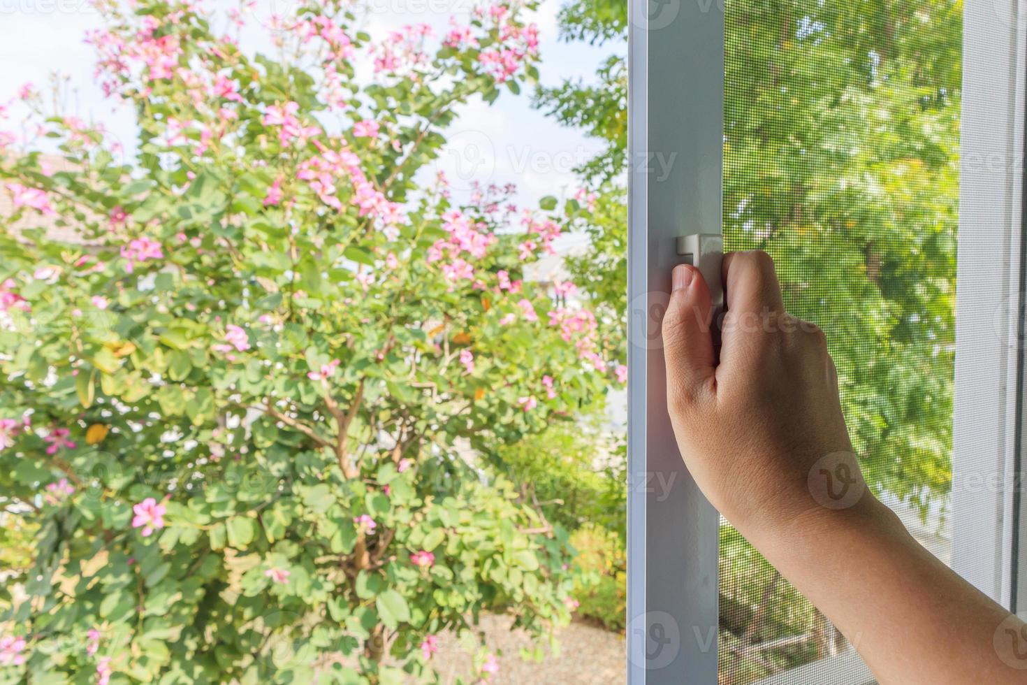 Hand hold mosquito net wire screen handle on house window photo